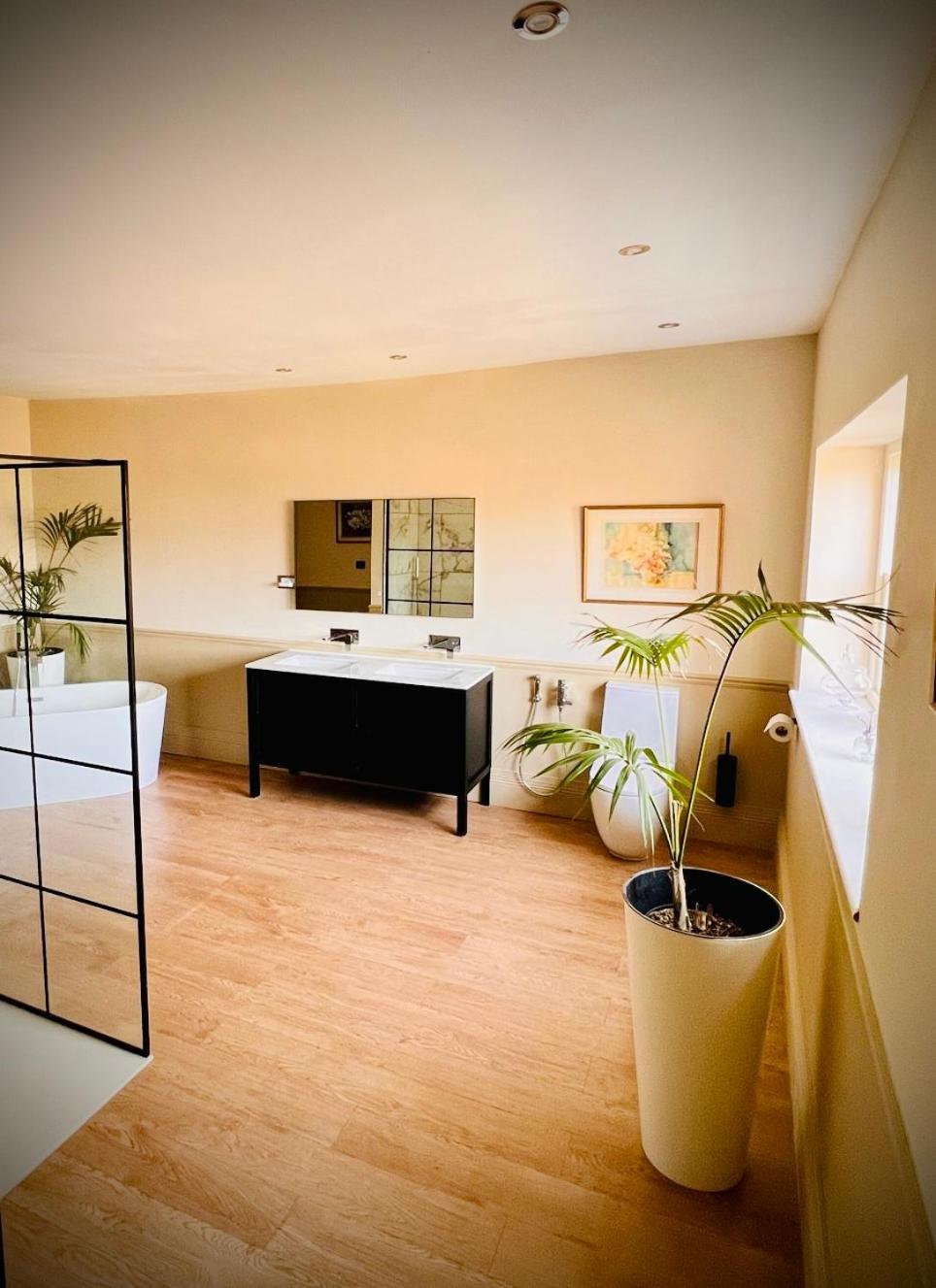 וולשפול Llanerchydol Hall Suites מראה חיצוני תמונה